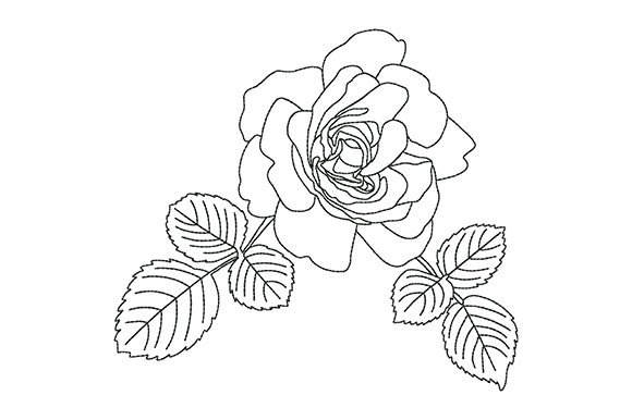 Beautiful Rose with Leaves: A Designer's Review for Personalized Gifts