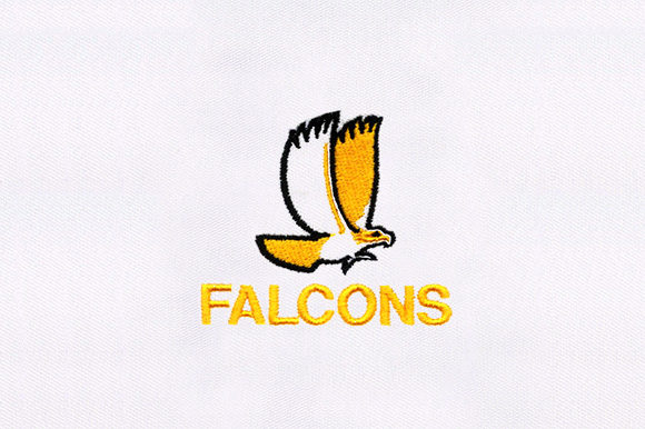 Falcon Embroidery Design Review for Handmade Gifts